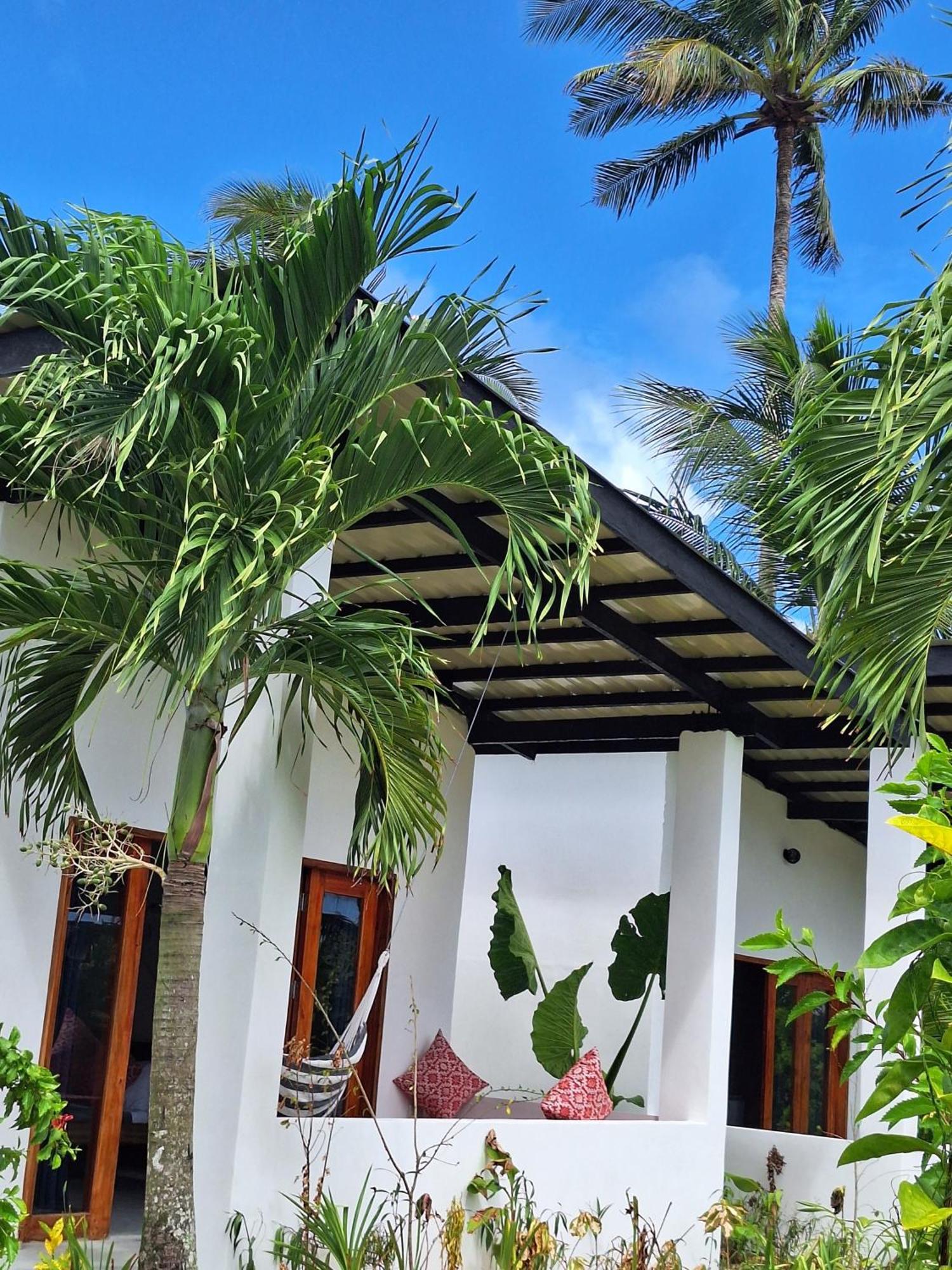 Bamboo Surf Beach San Isidro  Exterior foto